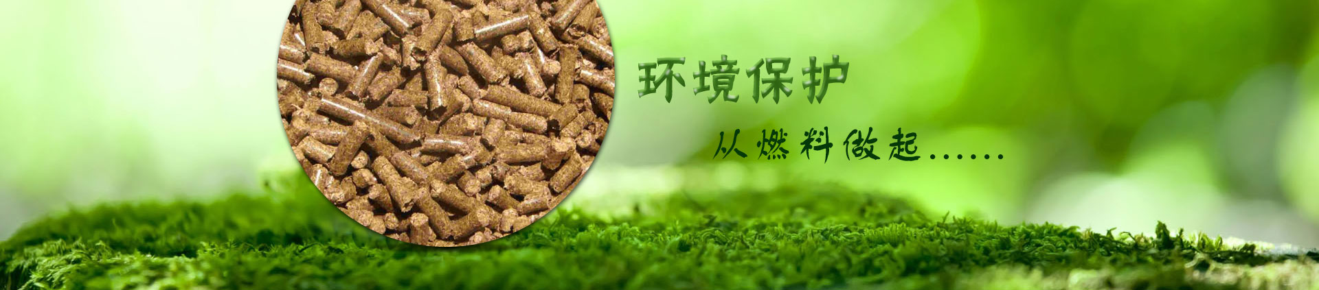 生物质颗粒、生物质燃料、生物质能源