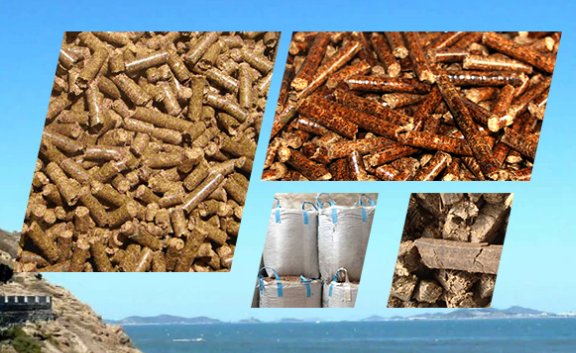 生物质燃料和生物质成型燃料直接燃烧分析