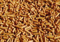 全球木质颗粒行业可以向欧洲借鉴什么