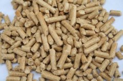 生物质燃料的使用前景