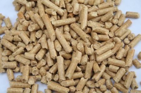 生物质燃料的使用前景