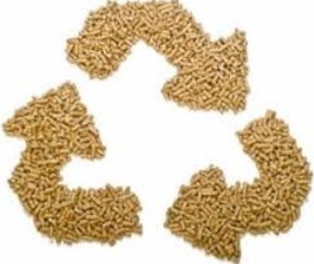 生物质燃料需因地制宜选择 指导能源升级