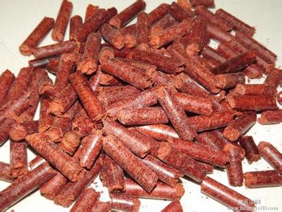 生物质燃料有哪些应用