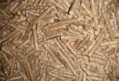 生物质燃料行业发展的问题