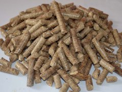 生物质燃料可以用来发电