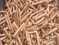 生物质发电关键在于燃料