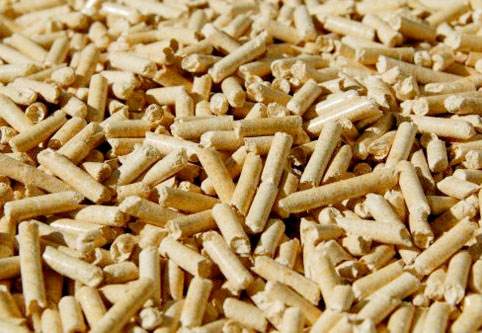 如何选择生物质颗粒原材料