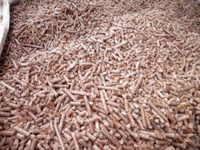 影响生物质颗粒燃料全水分的主要因素