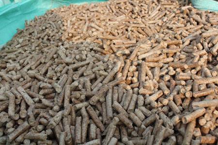 生物质燃料对循环经济发展有重要影响