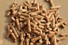 生物质燃料能代替煤燃料吗